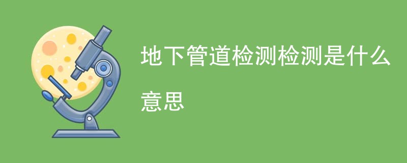 地下管道检测检测是什么意思