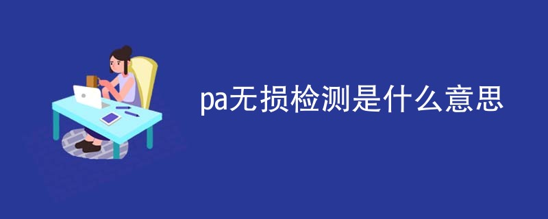 pa无损检测是什么意思