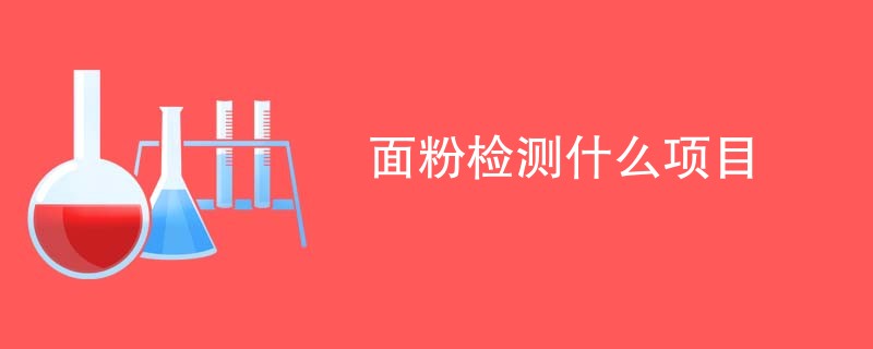 面粉检测什么项目