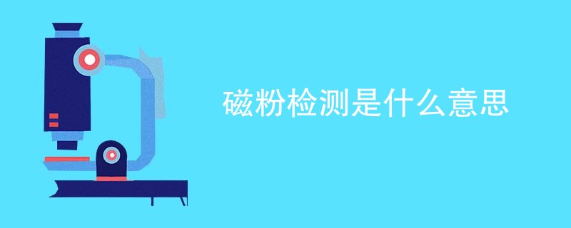 磁粉检测是什么意思