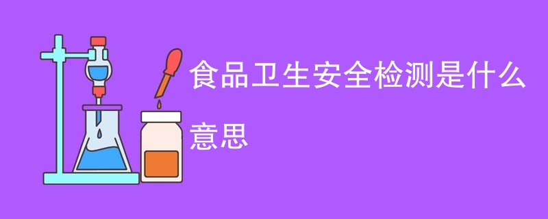 食品卫生安全检测是什么意思