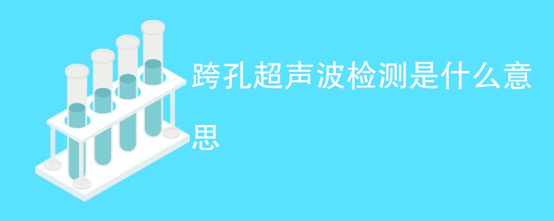跨孔超声波检测是什么意思